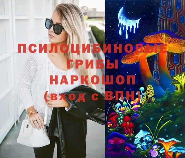 ECSTASY Абинск