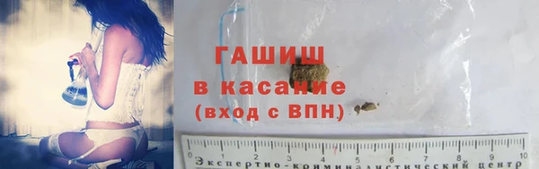 крисы Абаза
