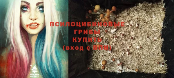 ECSTASY Абинск