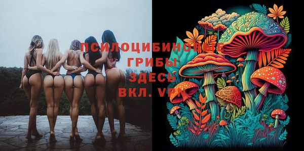 крисы Абаза