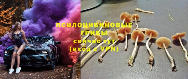 крисы Абаза