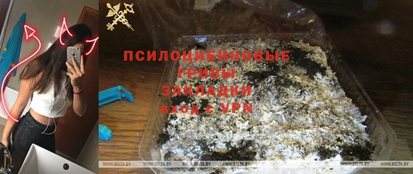 крисы Абаза