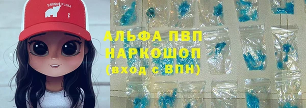 крисы Абаза